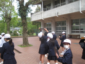 Photo_2