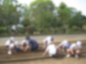 Photo_3