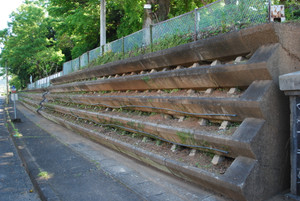 Photo_2