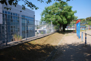Photo_4