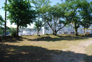 Photo_5