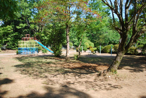 Photo_6